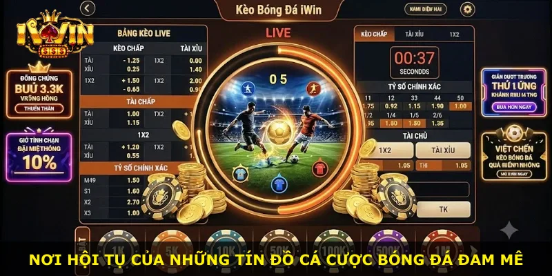 Nơi hội tụ của những tín đồ cá cược bóng đá đam mê