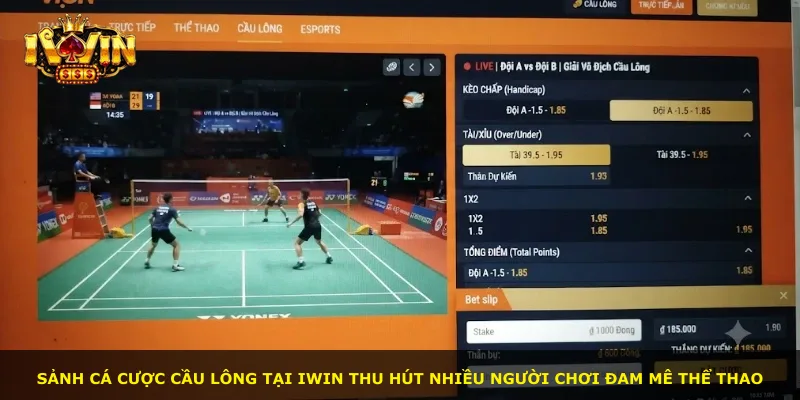 Sảnh cá cược cầu lông tại iWin thu hút nhiều người chơi đam mê thể thao